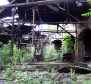 The German jungle is reclaiming what rightfully belongs to it. This time it was the turn of an engine shed. Once again, time proved to be the archenemy of those in search of light fittings. But the team lucked out again and managed to salvage a few dozen enamel lightshades.